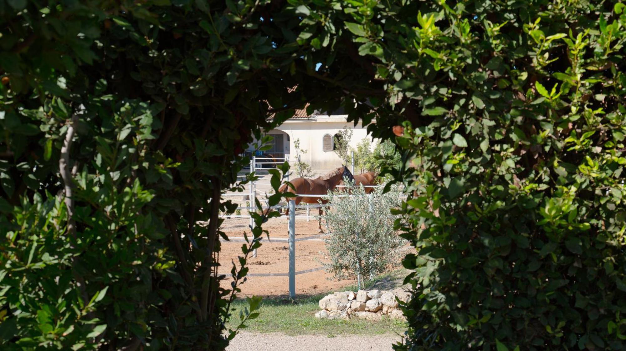 Delle Rose, Hotel & Horse Riding トッレ・ヴァード エクステリア 写真
